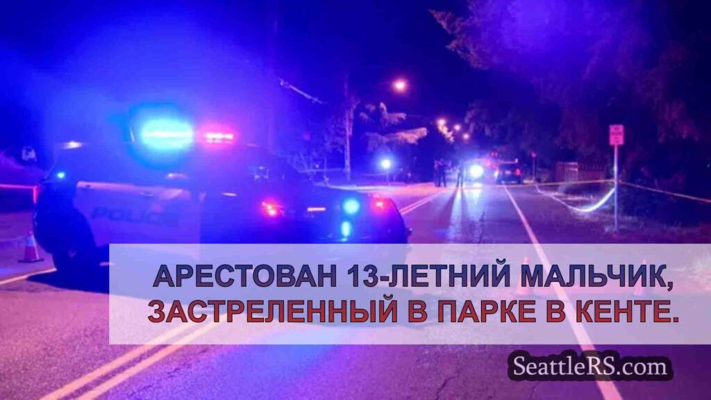 Арестован подозреваемый в стрельбе в