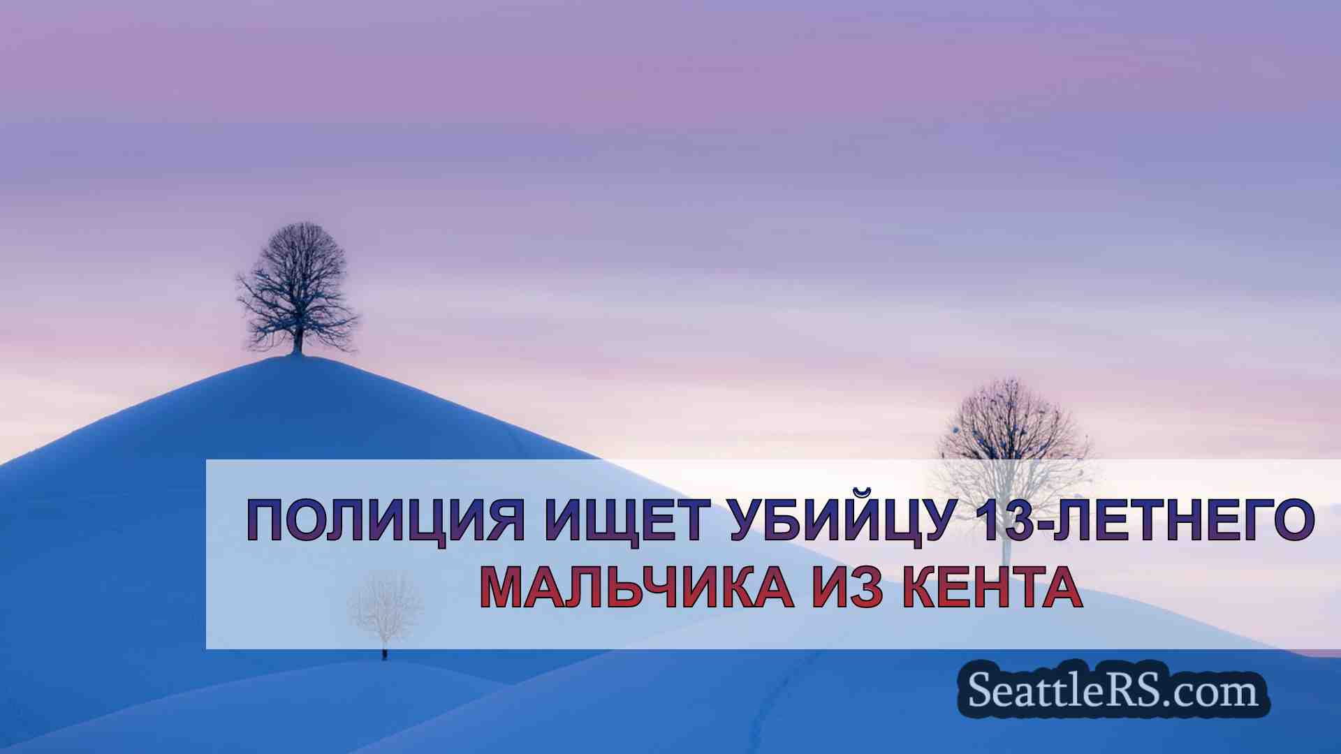 Полиция ищет убийцу 13-летнего мальчика