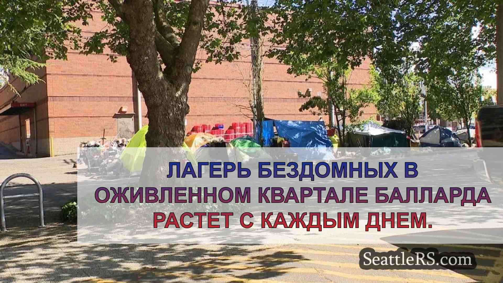 Город примет меры против растущего