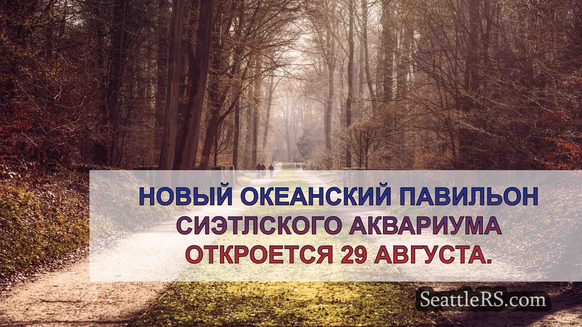 Новости Сиэтла SeattleRS