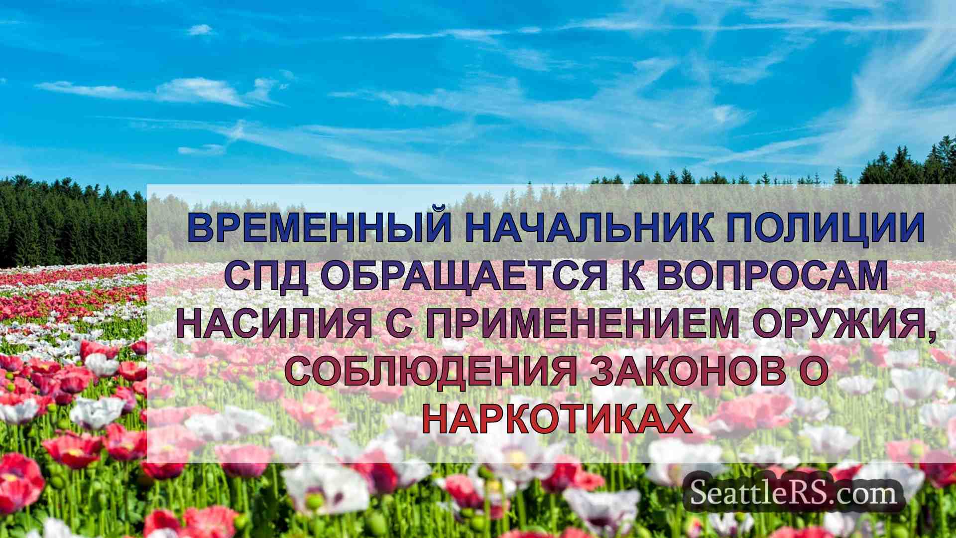 Временный начальник полиции СПД решает