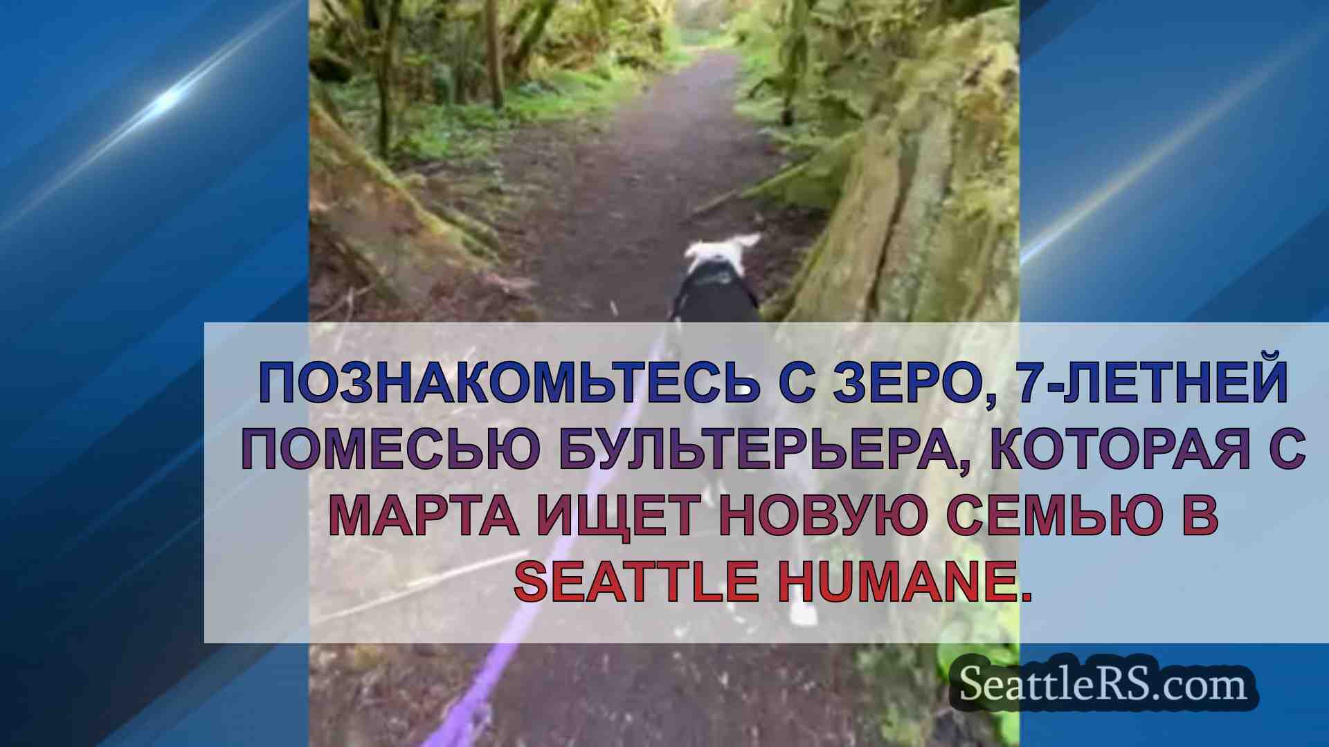Новости Сиэтла SeattleRS