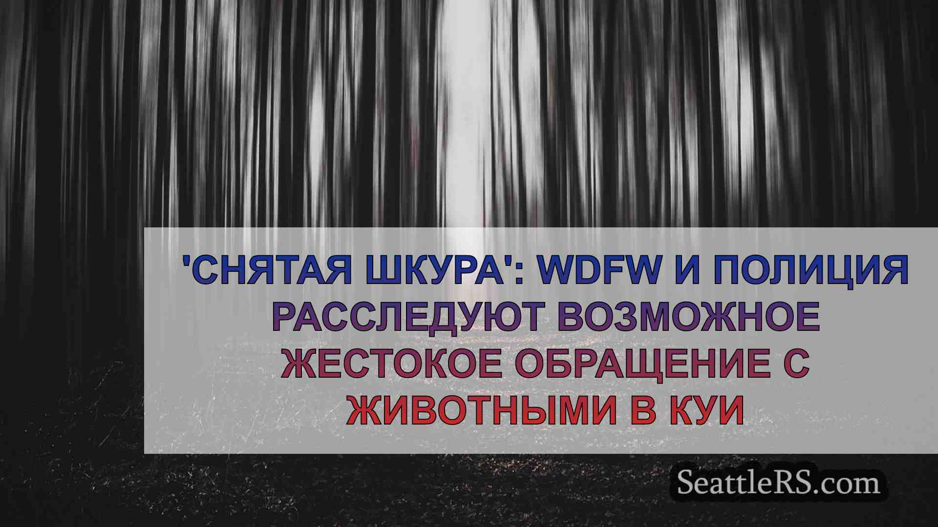 Новости Сиэтла SeattleRS