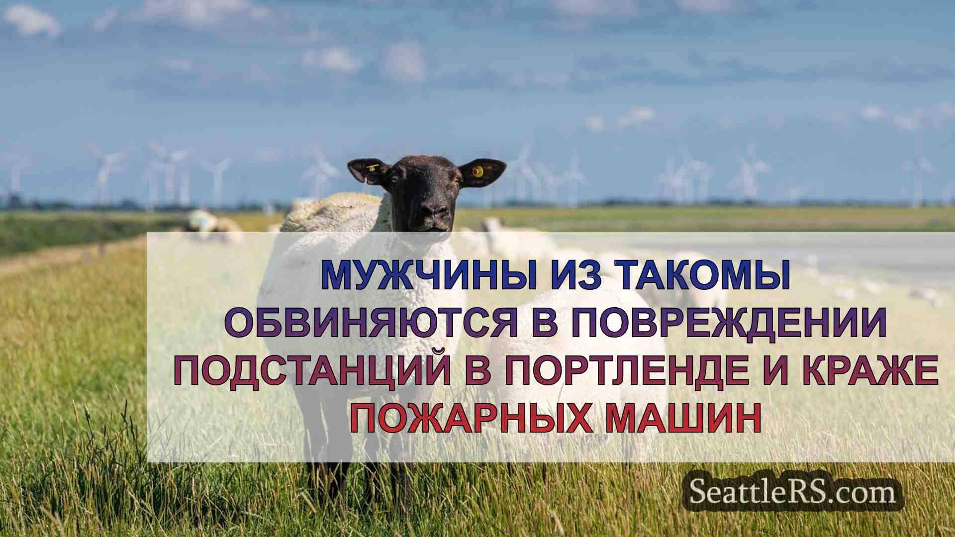 Новости Сиэтла SeattleRS