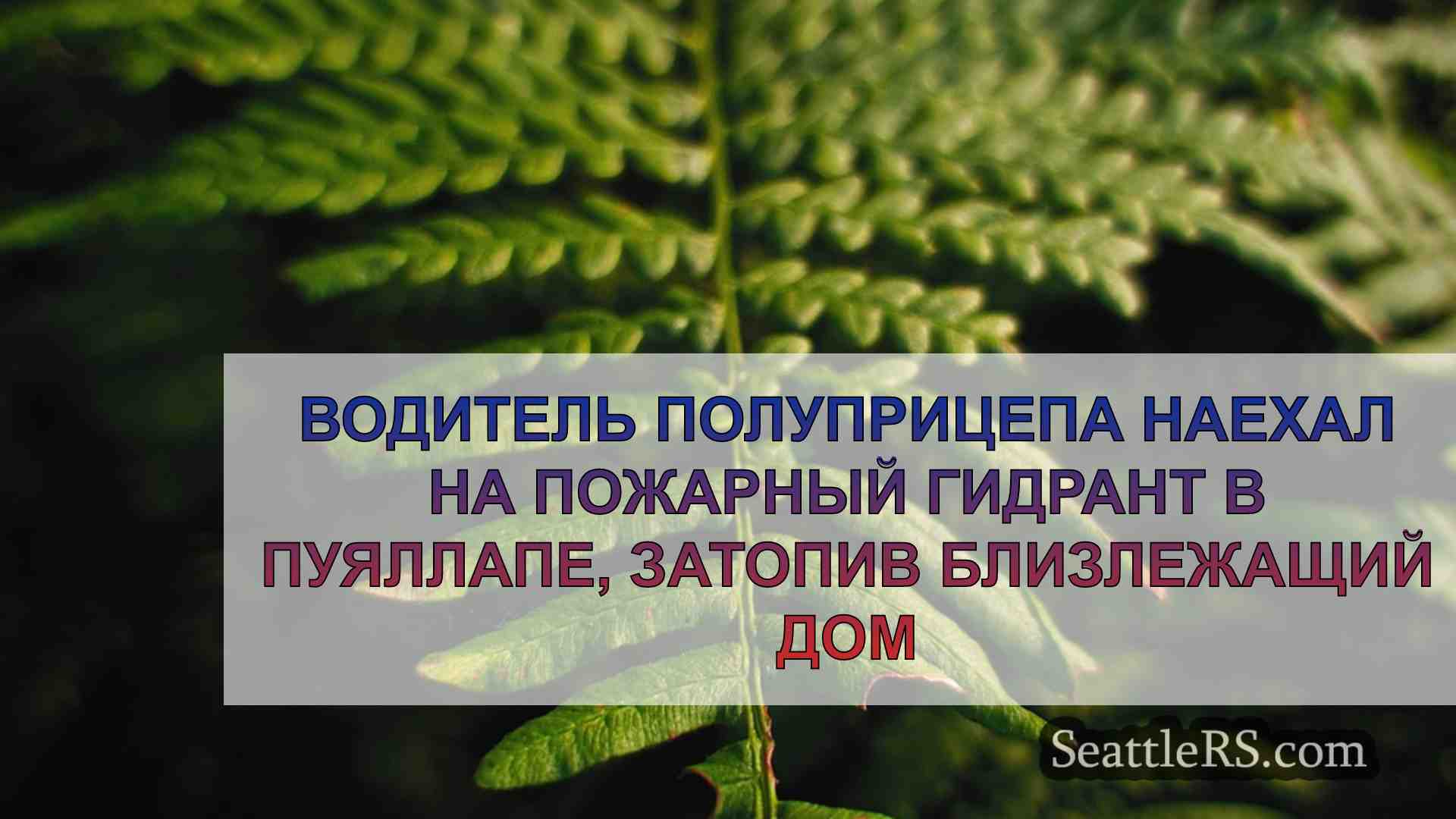 Новости Сиэтла SeattleRS
