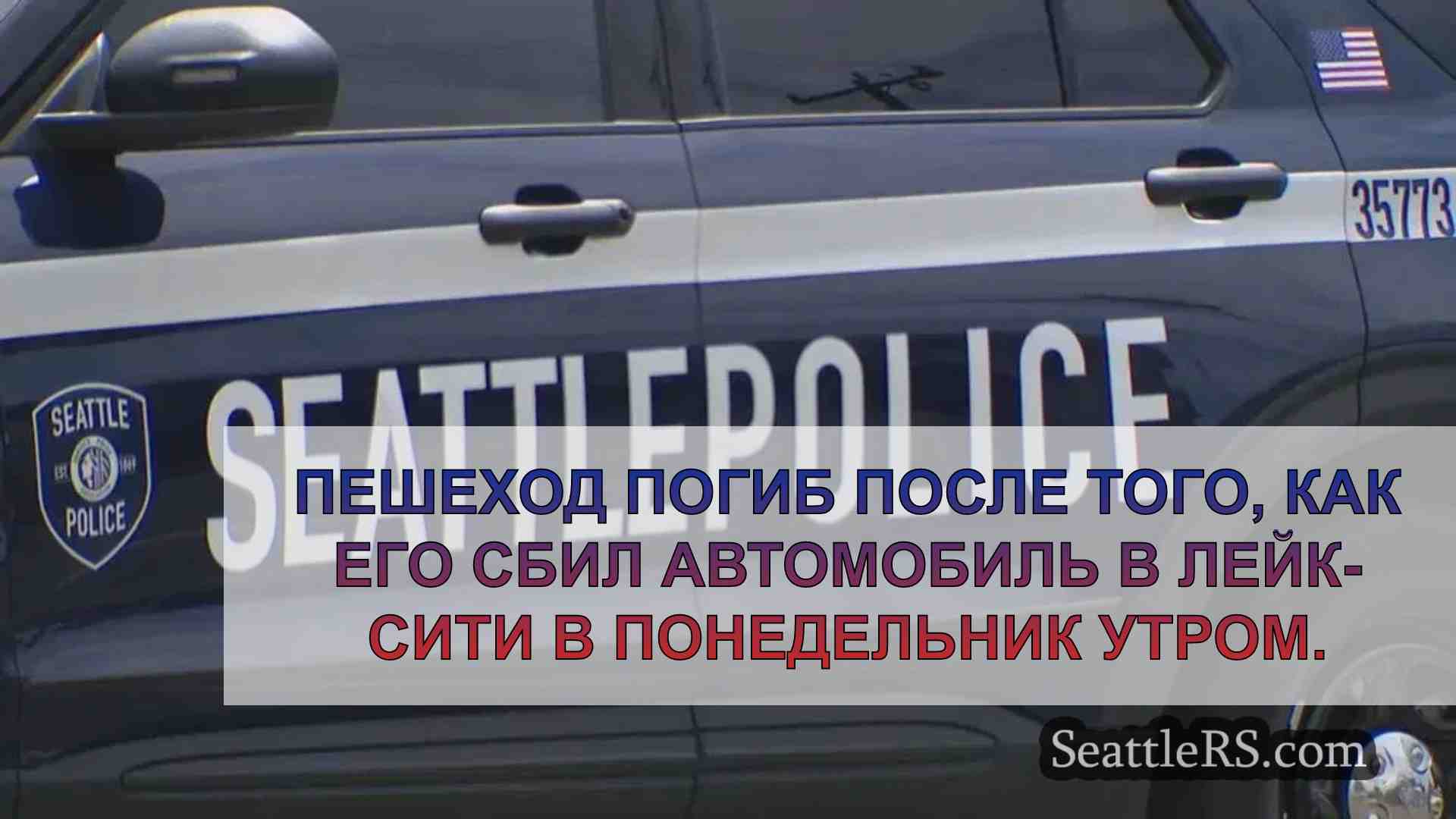 Ведется расследование убийства пешехода