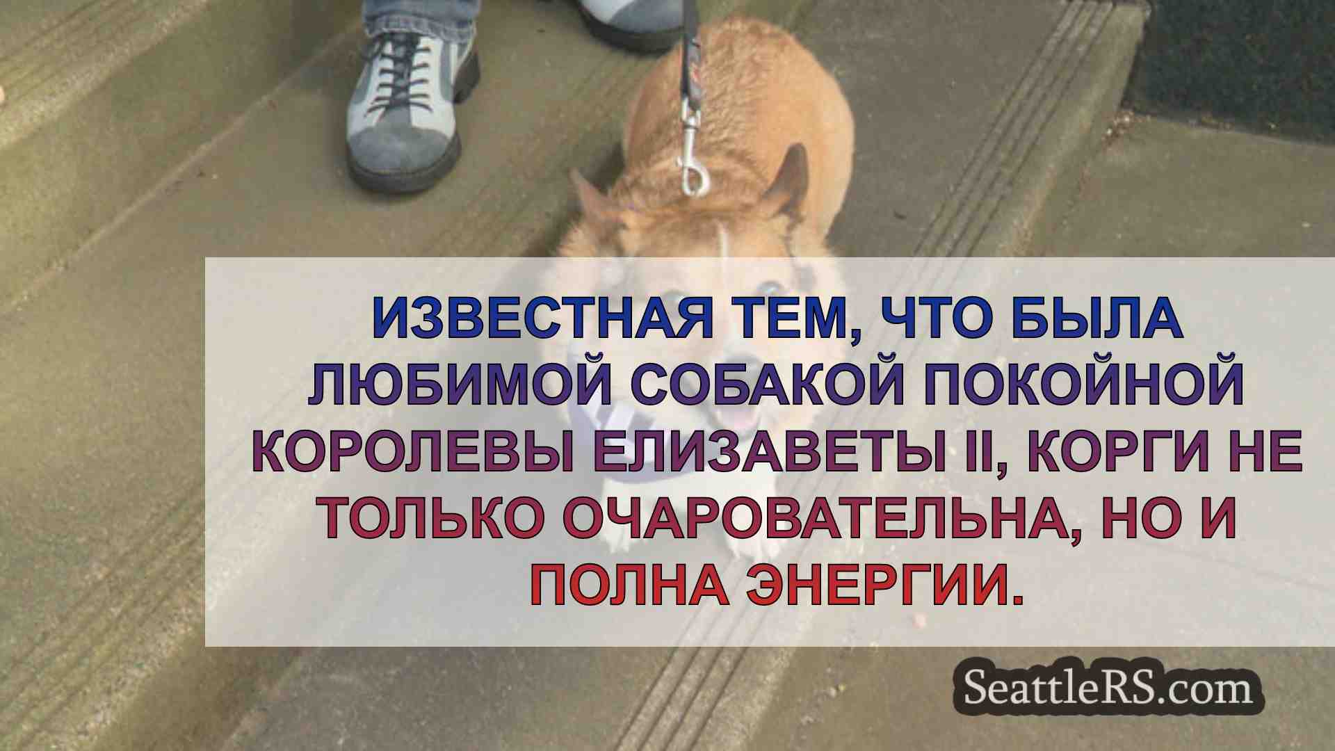 Новости Сиэтла SeattleRS
