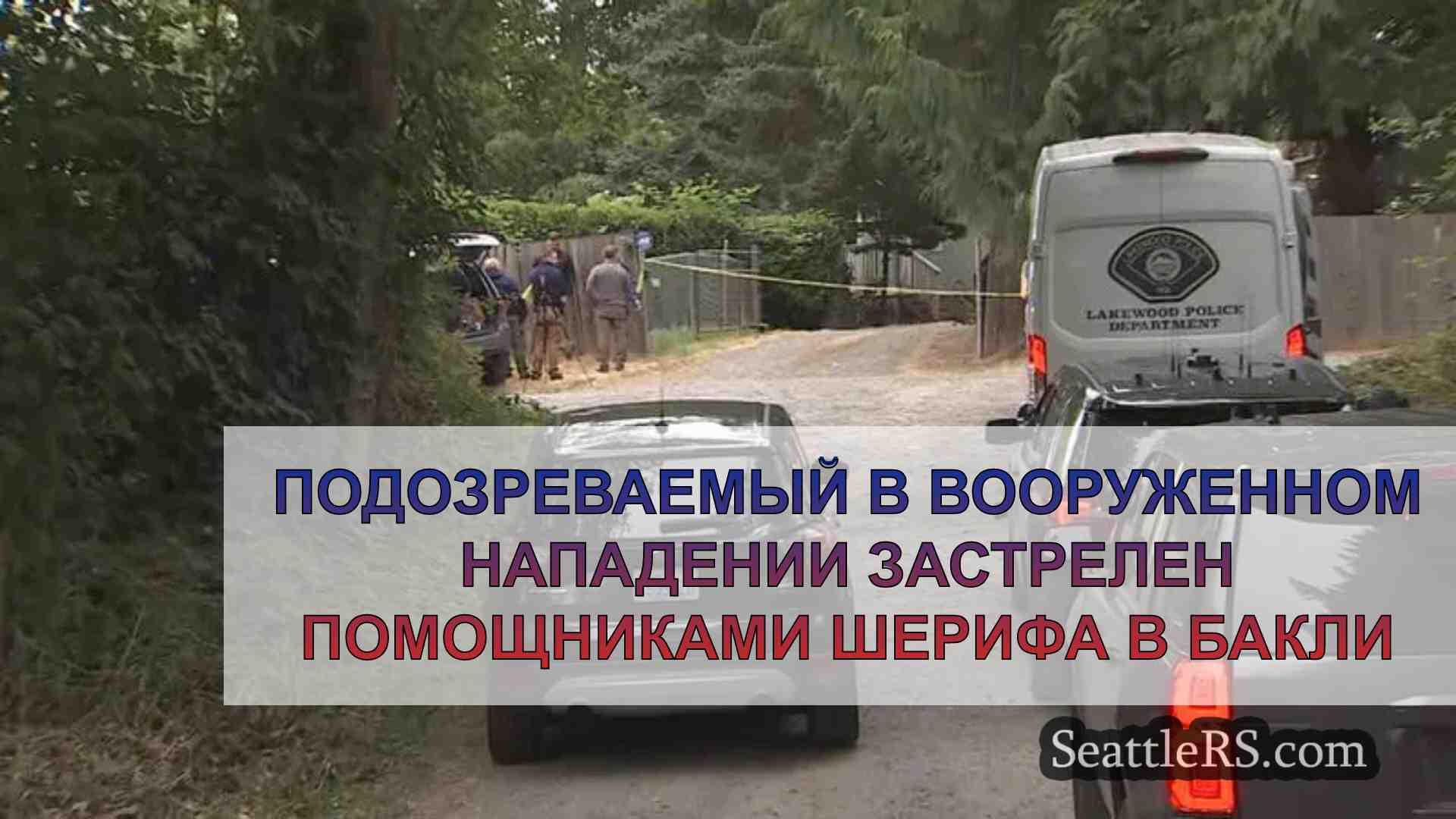 Подозреваемый в вооруженном нападении