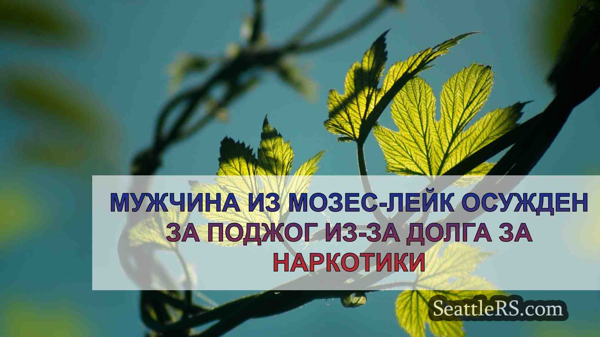 Новости Сиэтла SeattleRS
