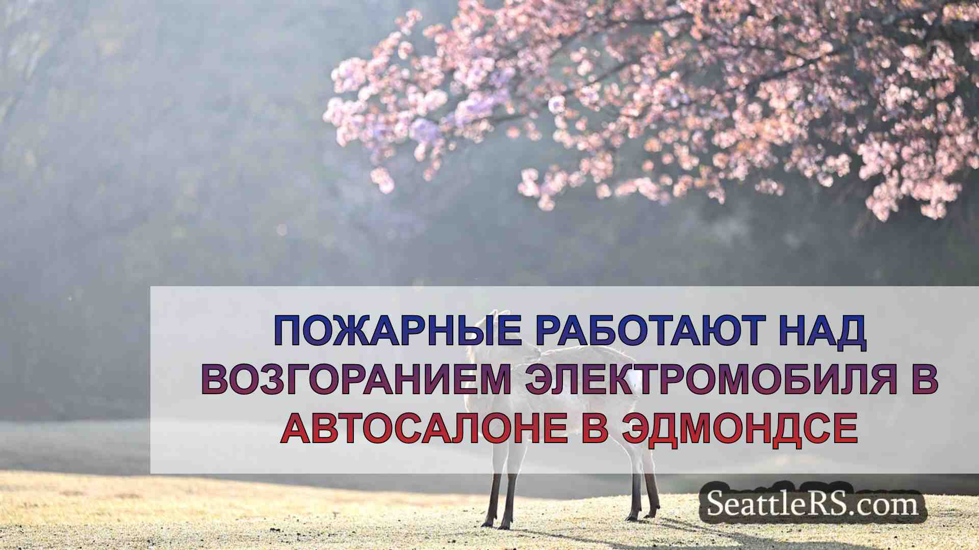 Новости Сиэтла SeattleRS