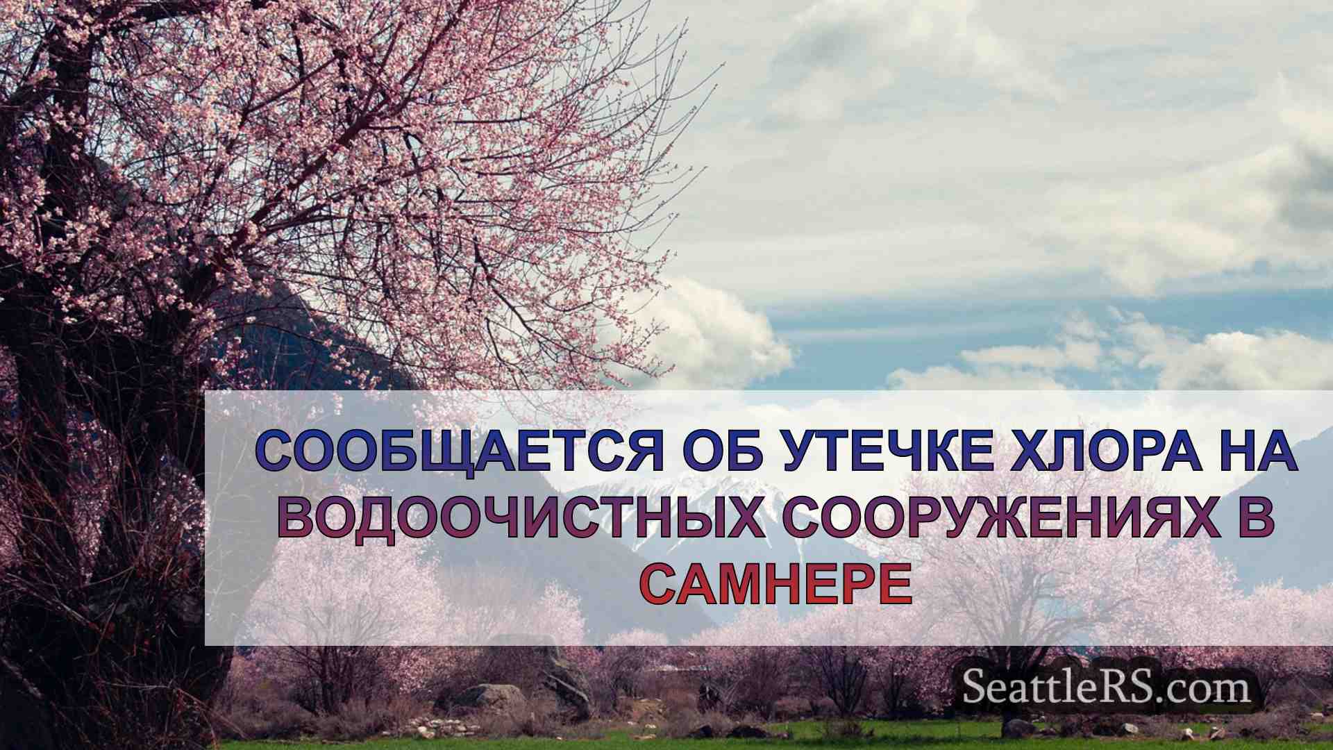 Новости Сиэтла SeattleRS