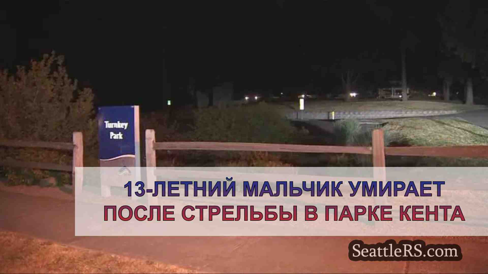13-летний мальчик умирает после