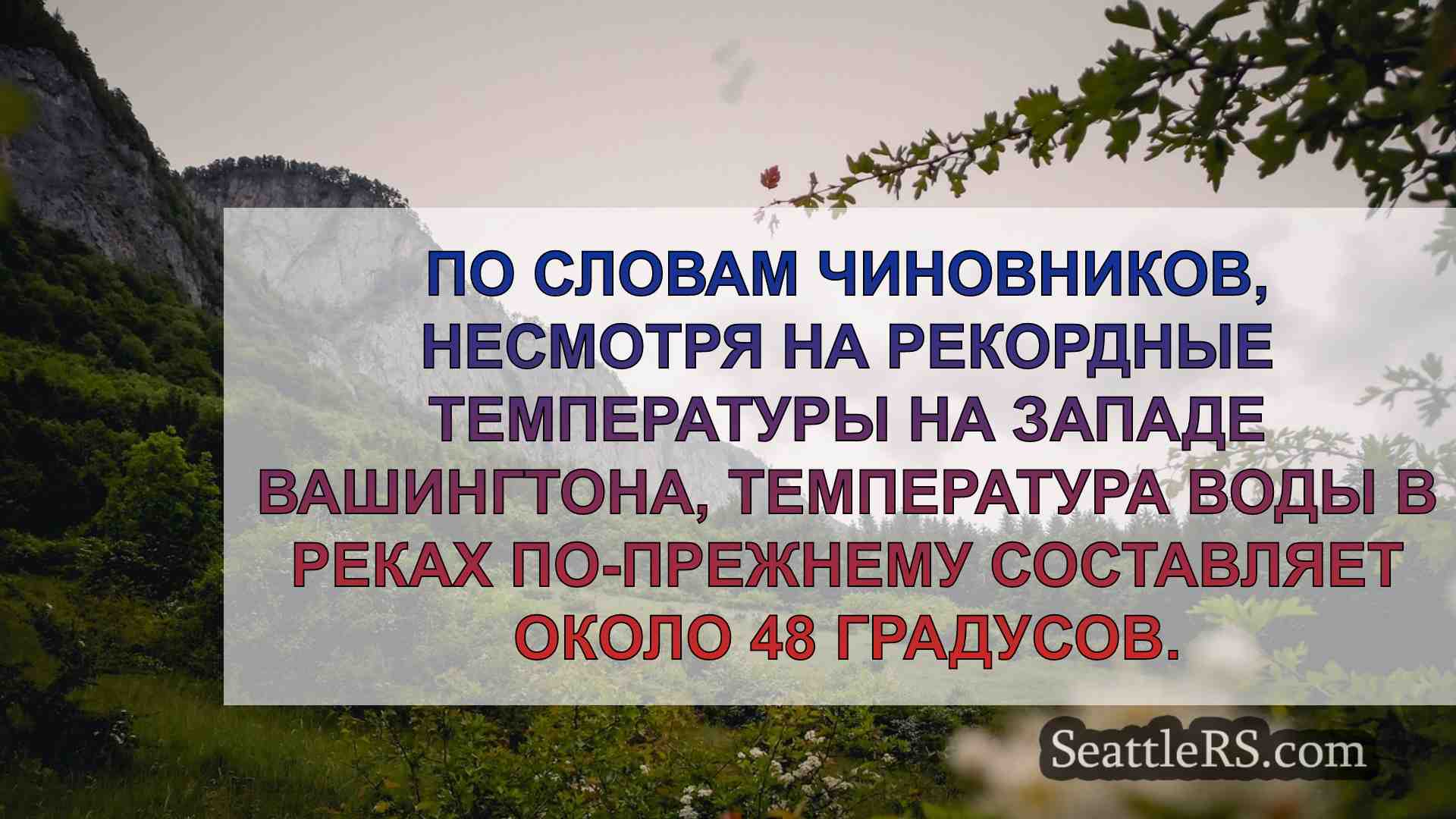 Новости Сиэтла SeattleRS