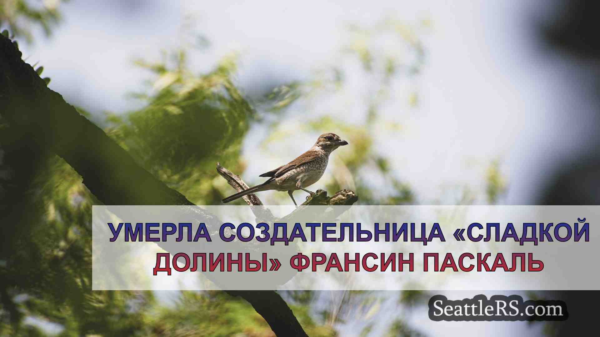 Новости Сиэтла SeattleRS