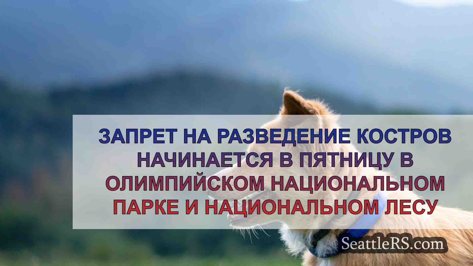 Новости Сиэтла SeattleRS