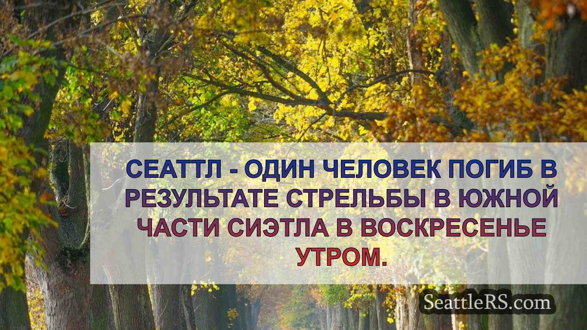 Один человек застрелен в воскресенье в