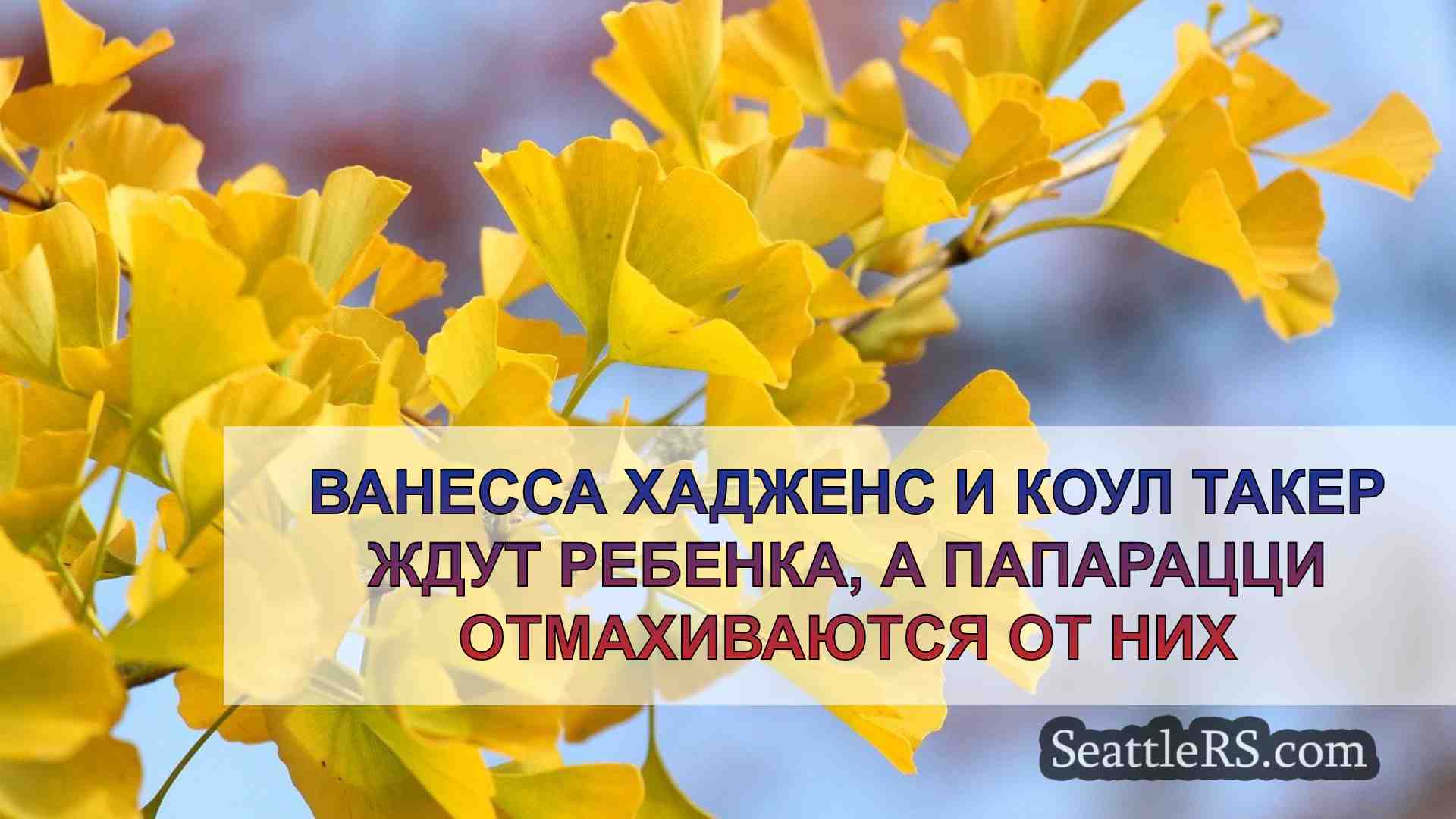 Новости Сиэтла SeattleRS