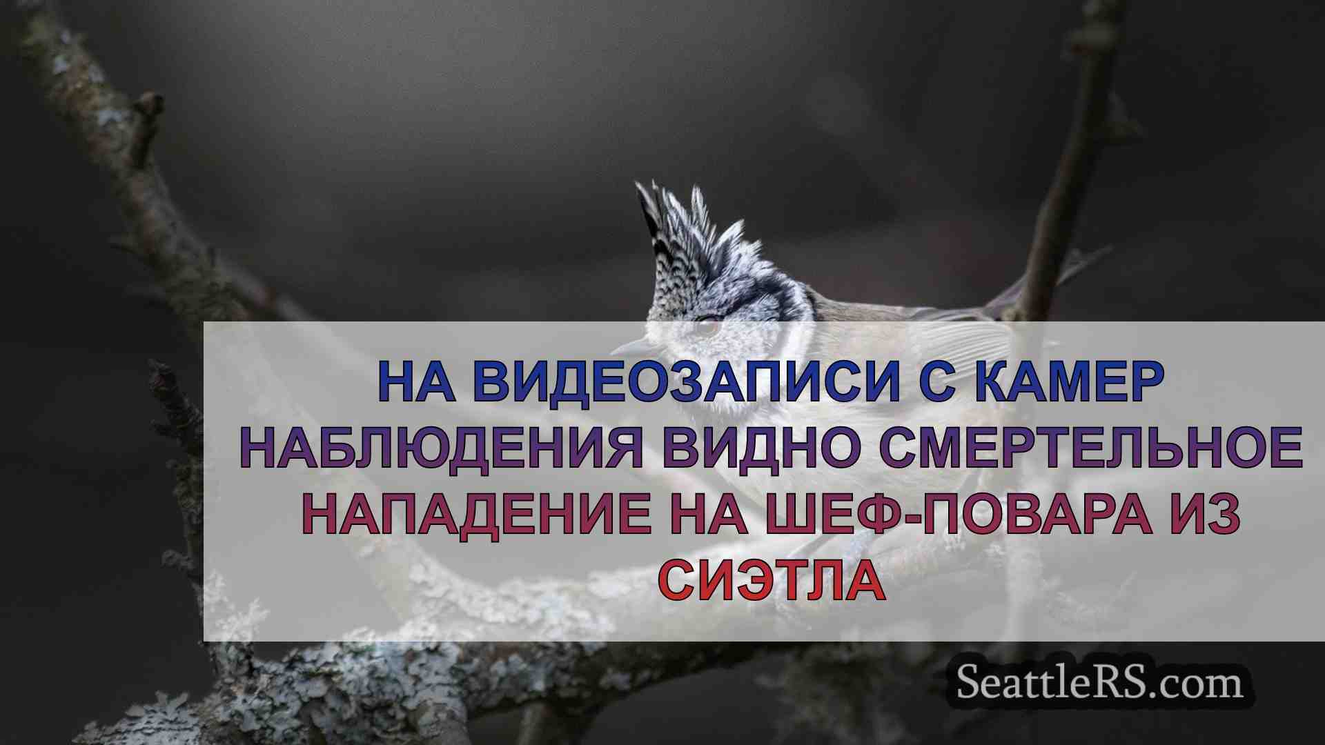 Новости Сиэтла SeattleRS