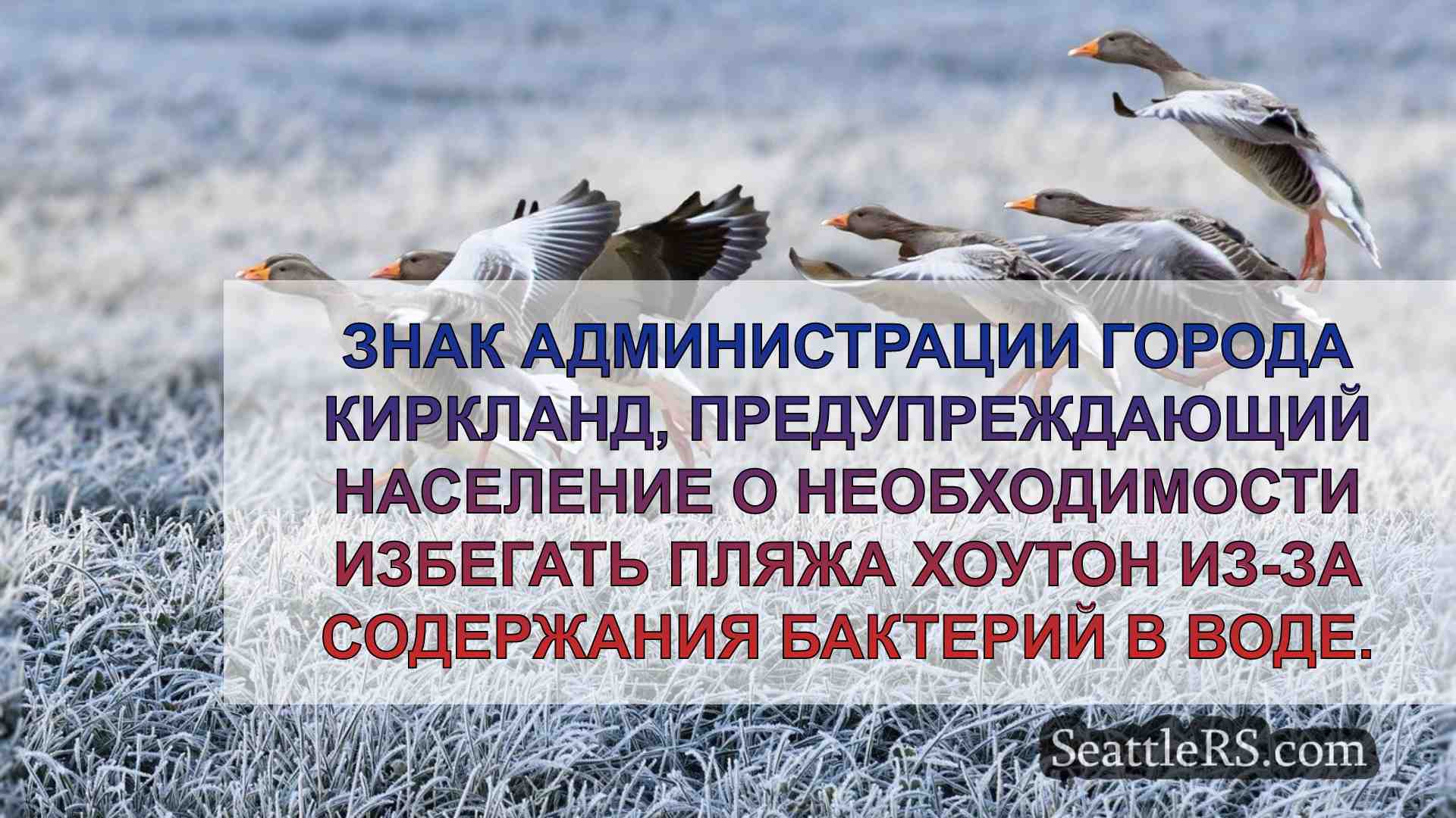 Новости Сиэтла SeattleRS