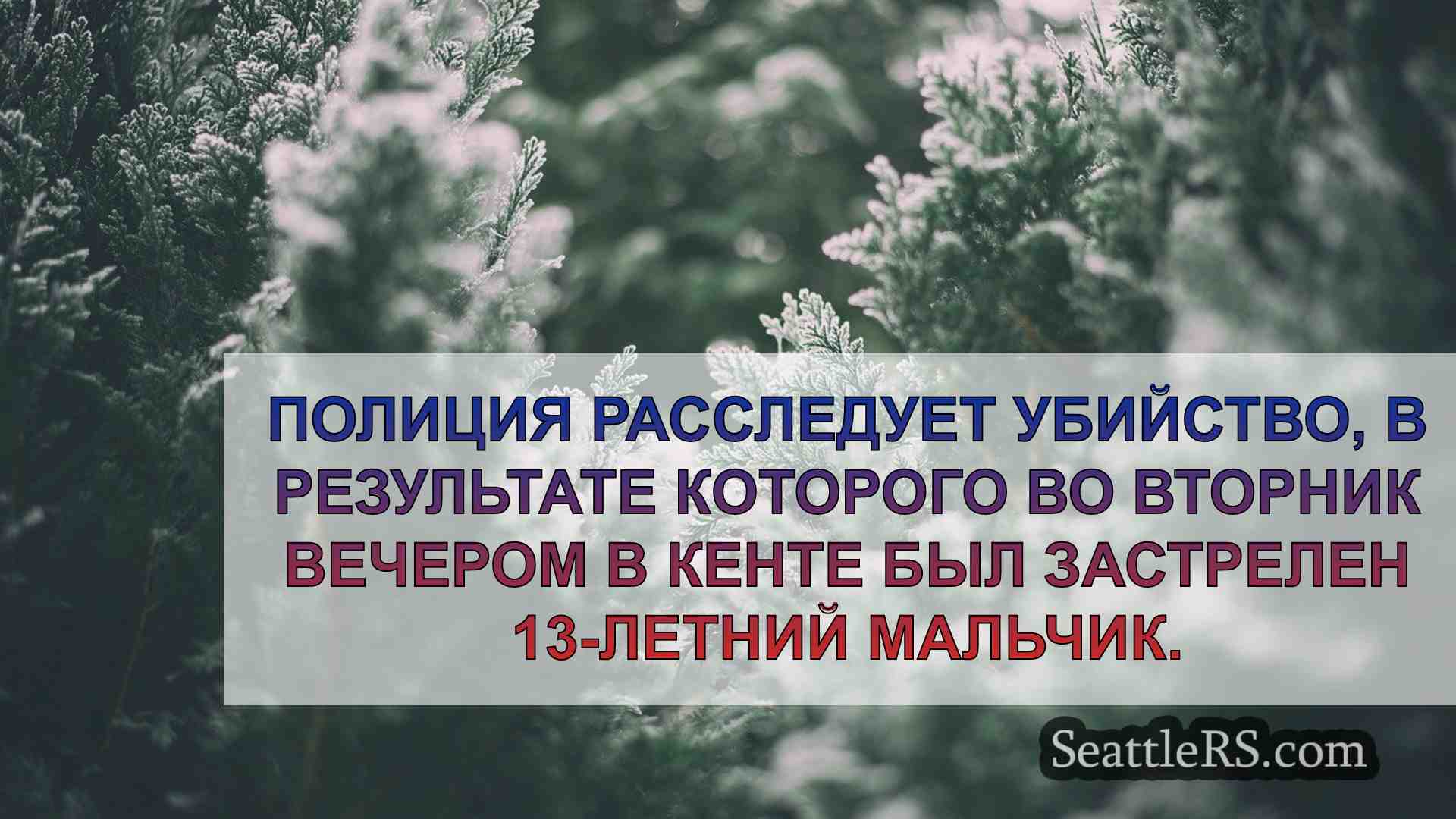 Новости Сиэтла SeattleRS