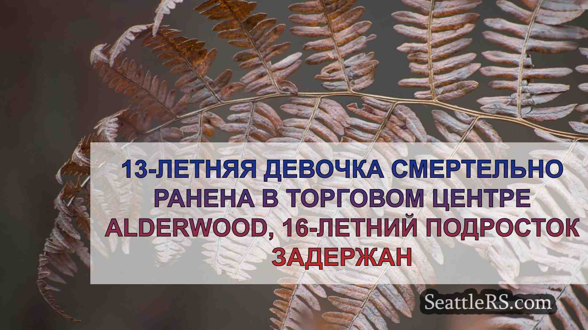 Новости Сиэтла SeattleRS