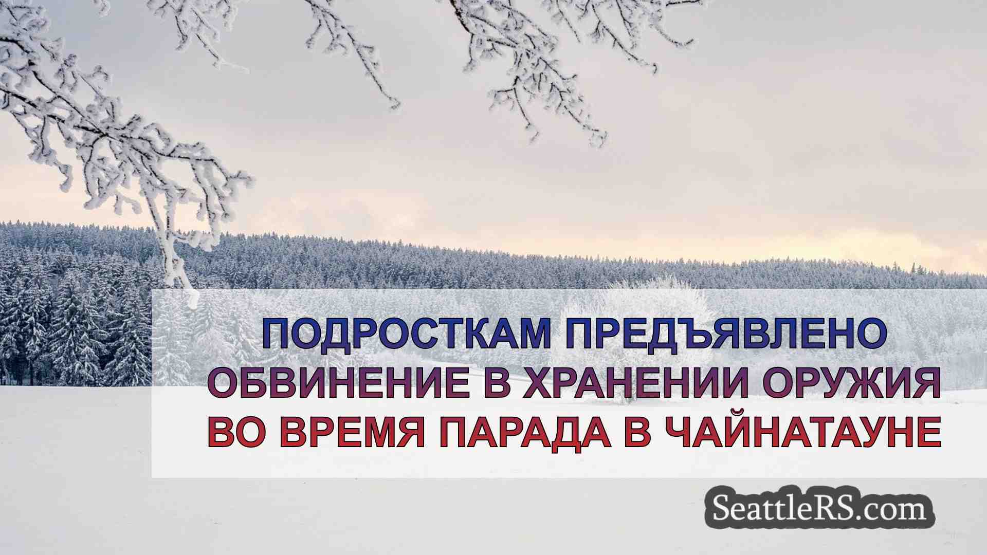 Подросткам предъявлено обвинение в