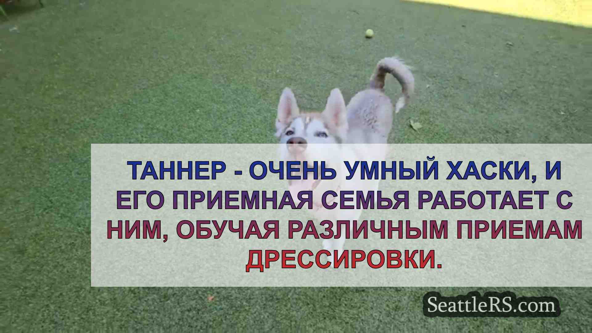 Новости Сиэтла SeattleRS
