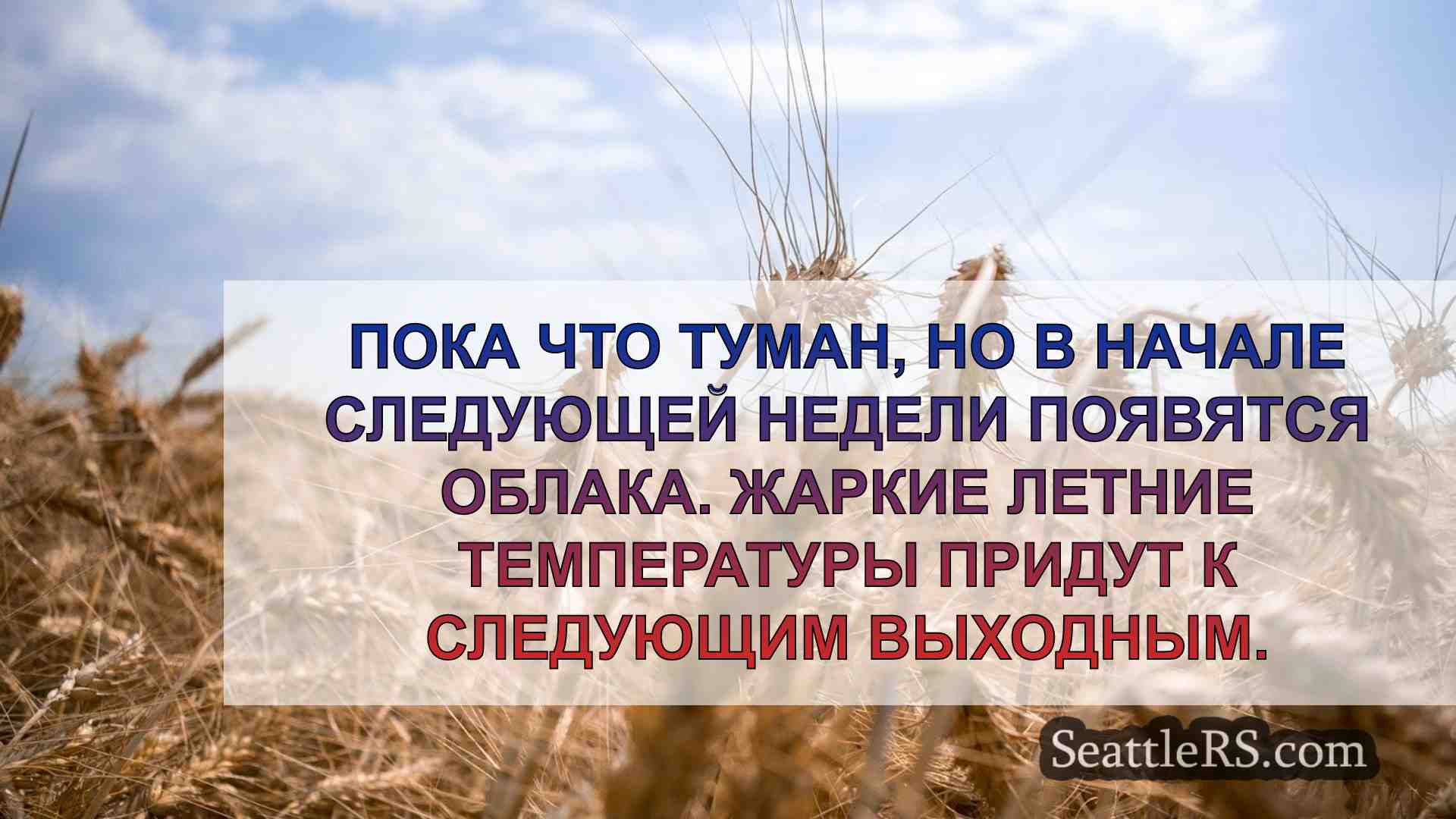 Новости Сиэтла SeattleRS