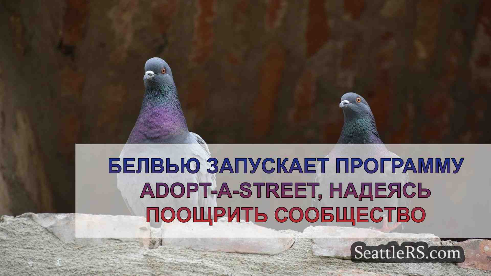 Новости Сиэтла SeattleRS
