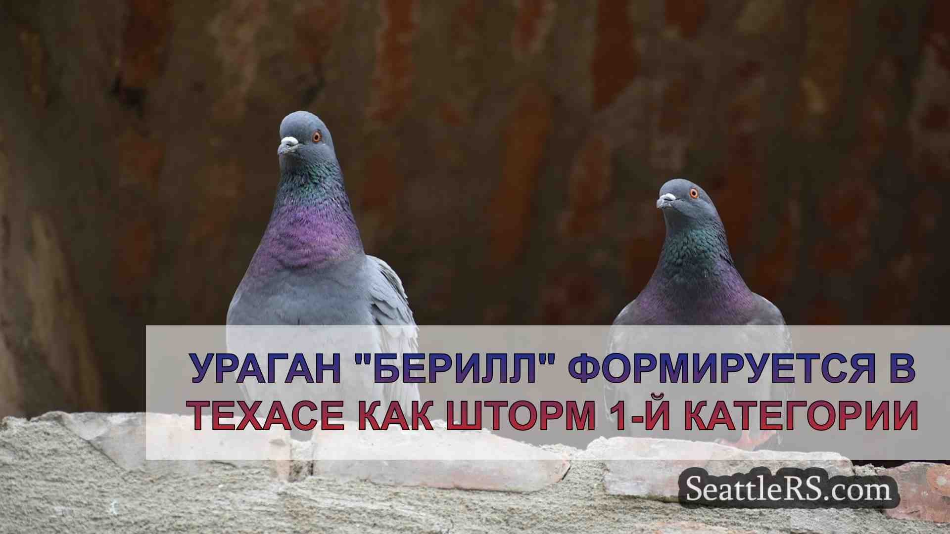 Новости Сиэтла SeattleRS