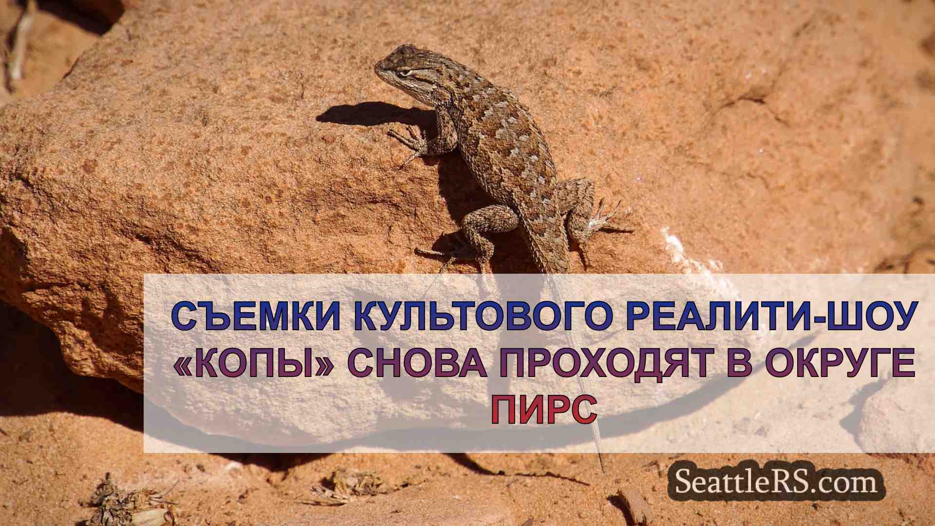 Новости Сиэтла SeattleRS