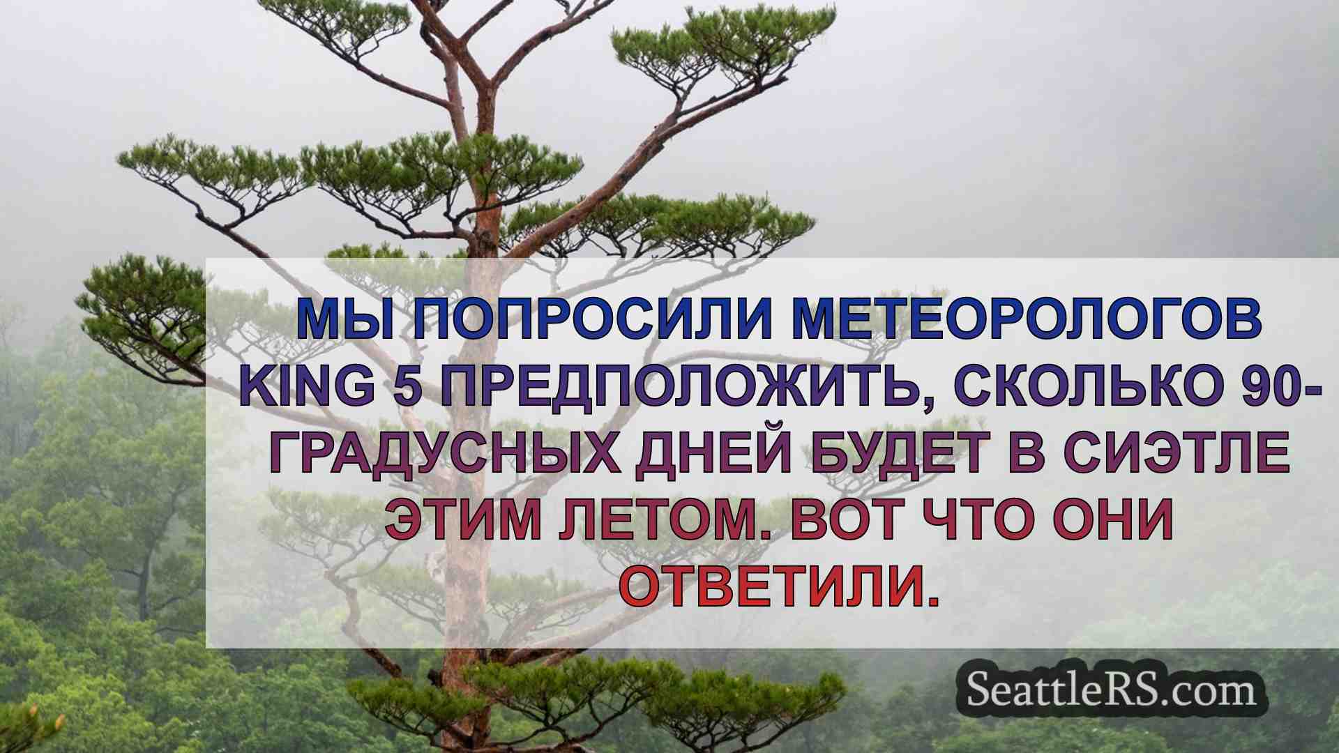 Новости Сиэтла SeattleRS