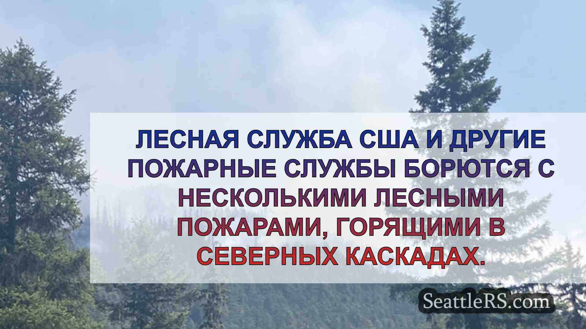 Новости Сиэтла SeattleRS