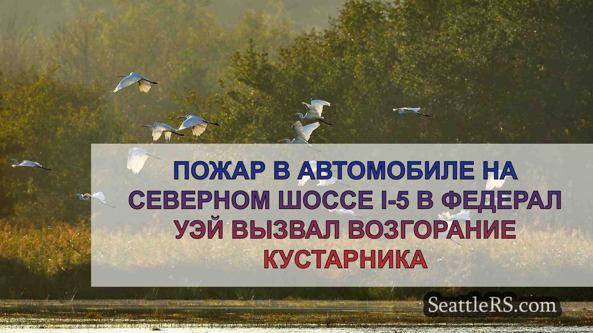 Новости Сиэтла SeattleRS