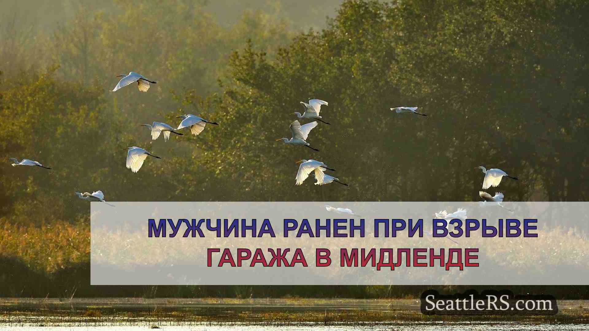 Новости Сиэтла SeattleRS