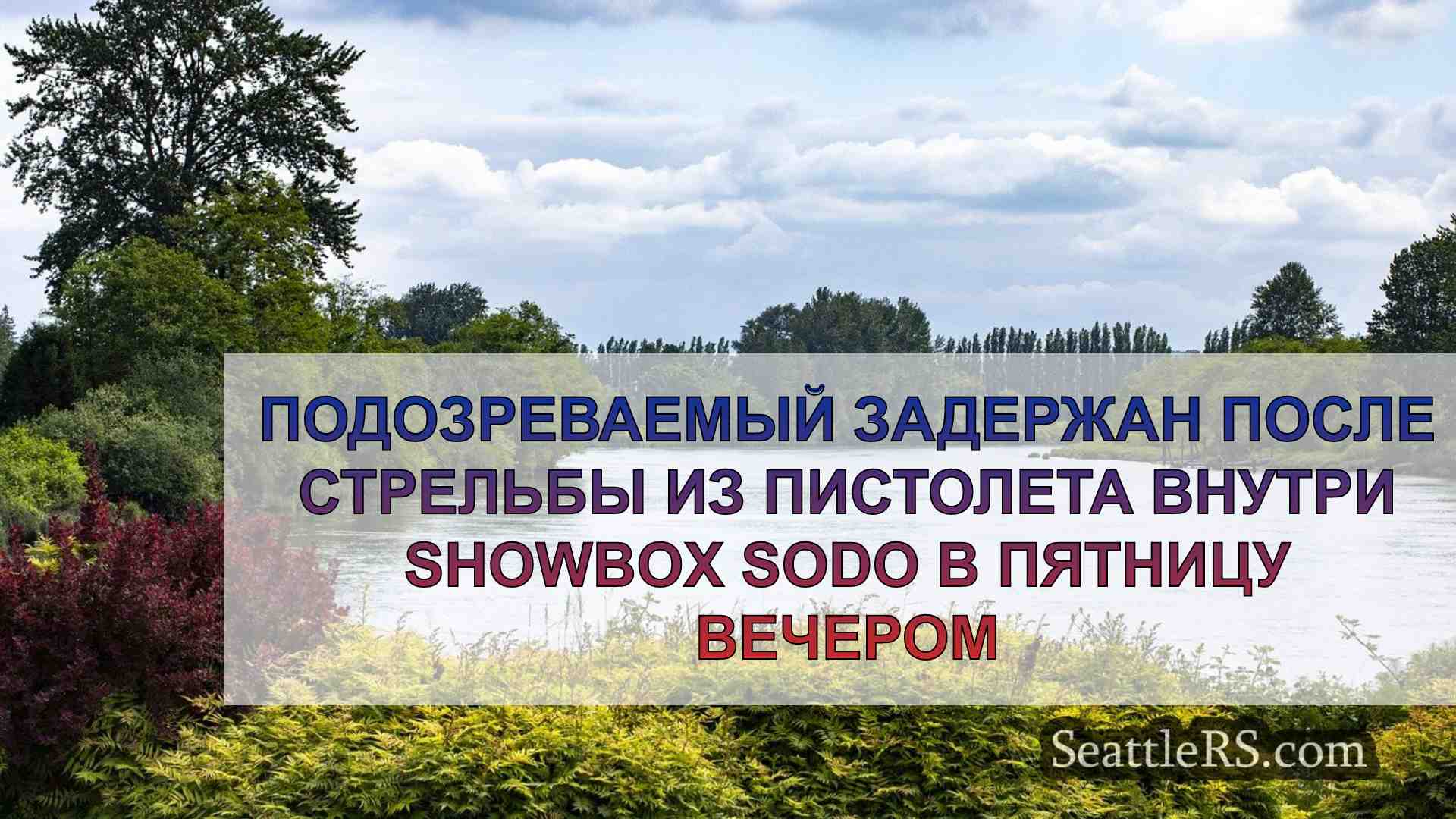 Подозреваемый задержан после стрельбы