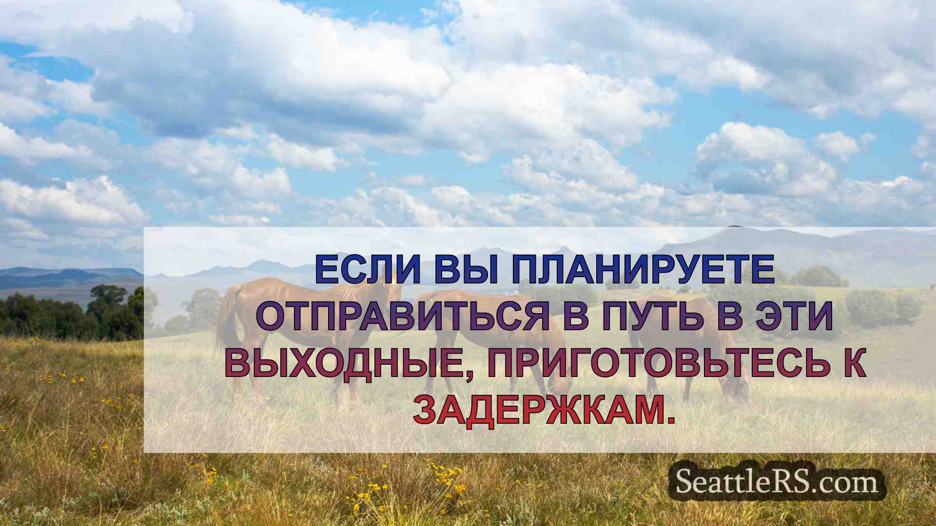 Новости Сиэтла SeattleRS