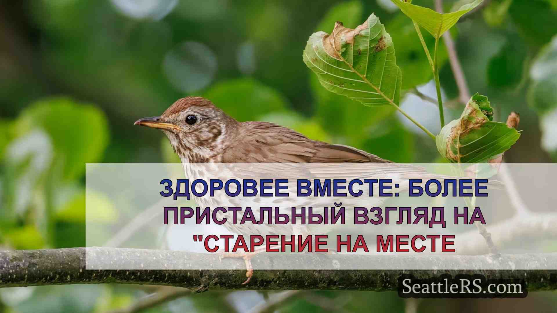Новости Сиэтла SeattleRS