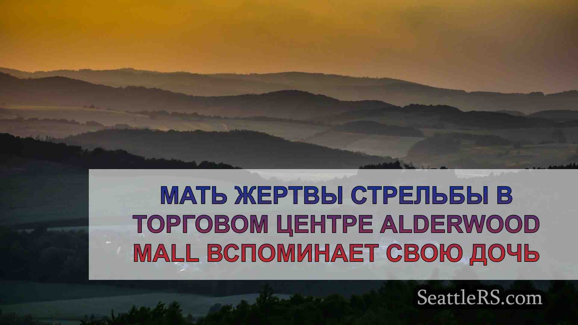 Мать жертвы стрельбы в торговом центре
