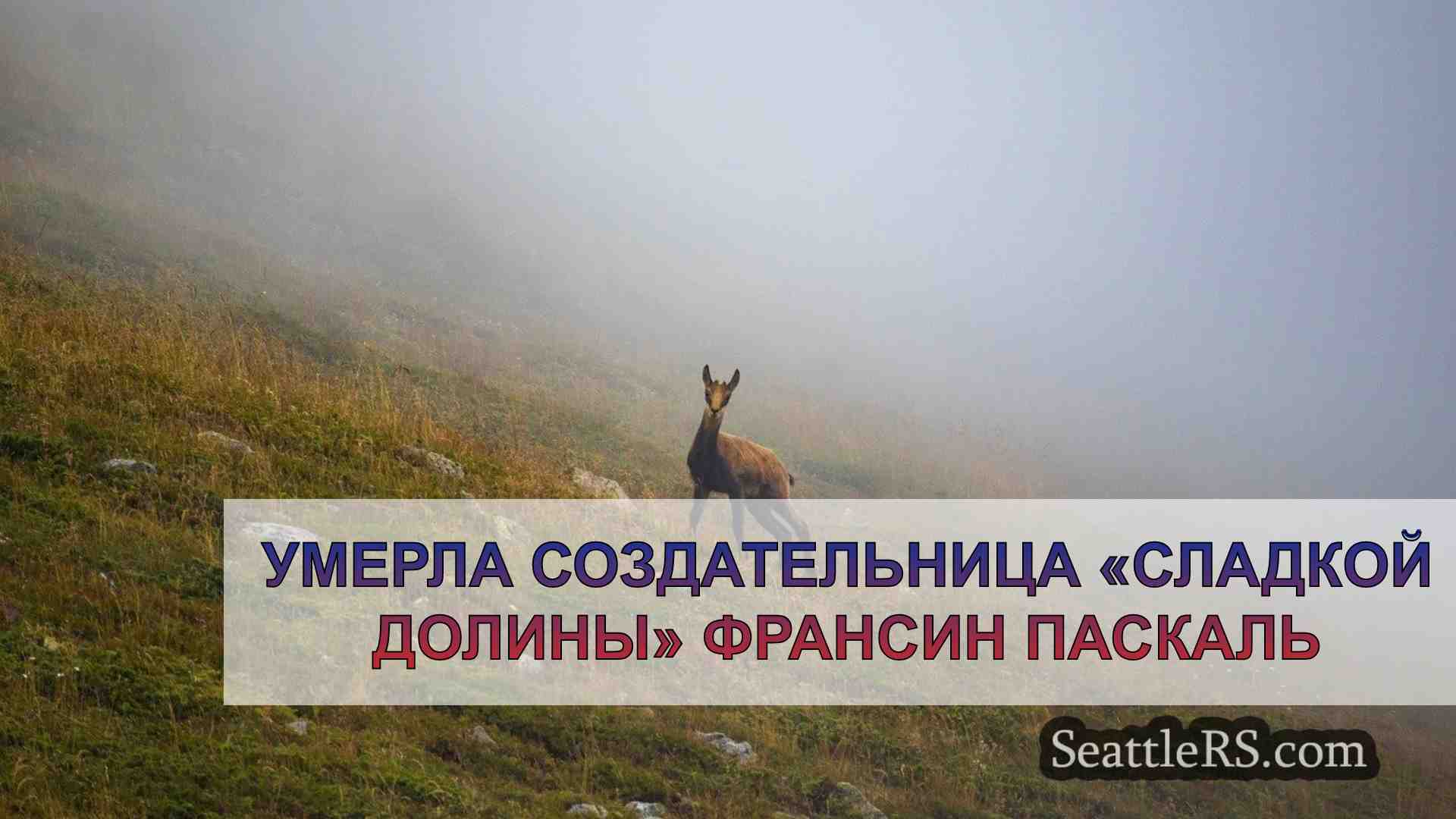 Новости Сиэтла SeattleRS
