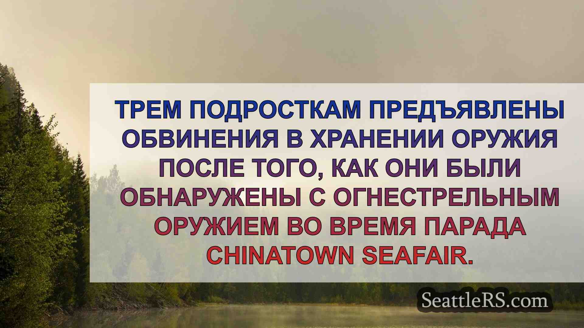 Подросткам предъявлены обвинения в