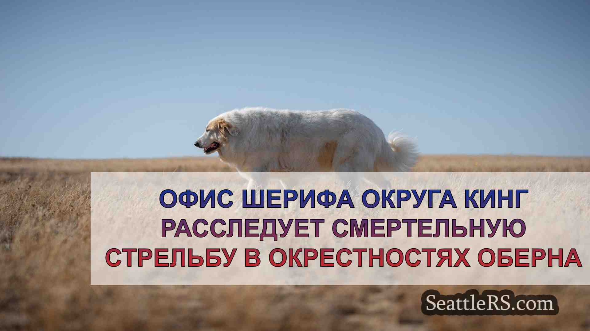 Новости Сиэтла SeattleRS