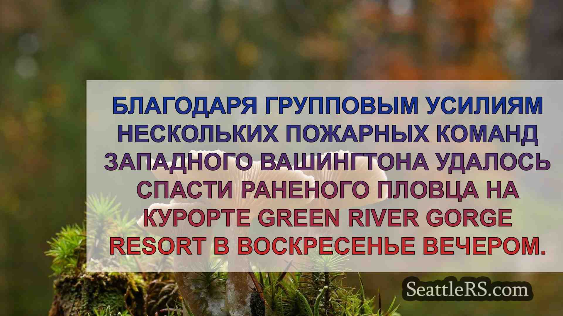 Новости Сиэтла SeattleRS