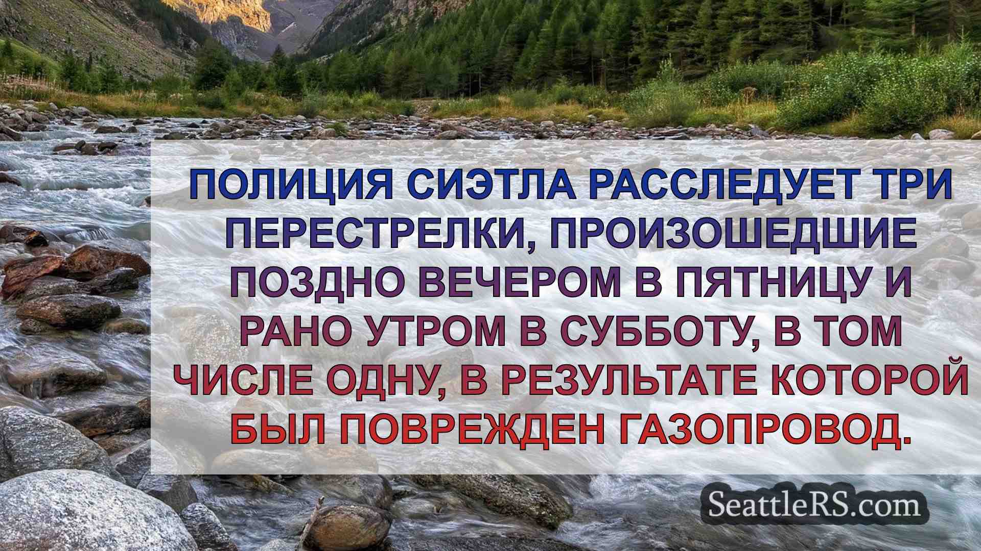 Женщина арестована за стрельбу внутри