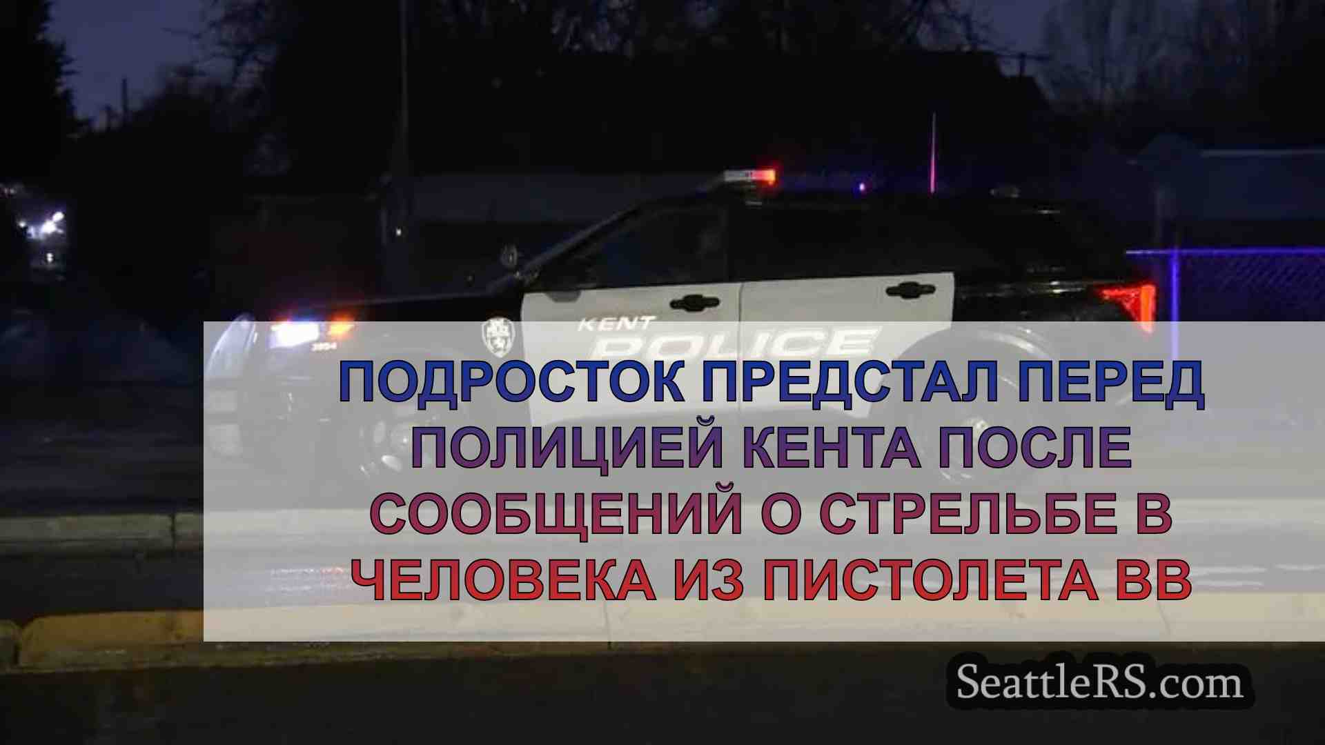 Подросток предстал перед полицией Кента