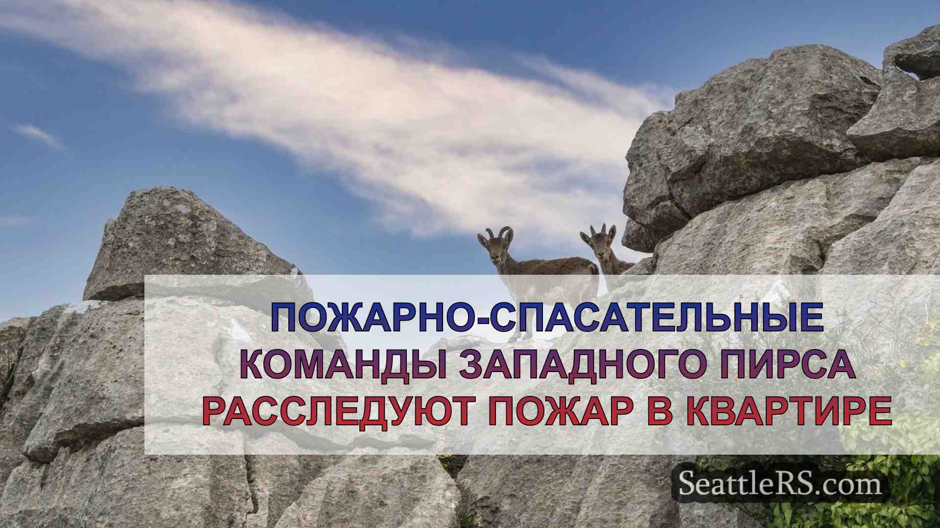 Новости Сиэтла SeattleRS