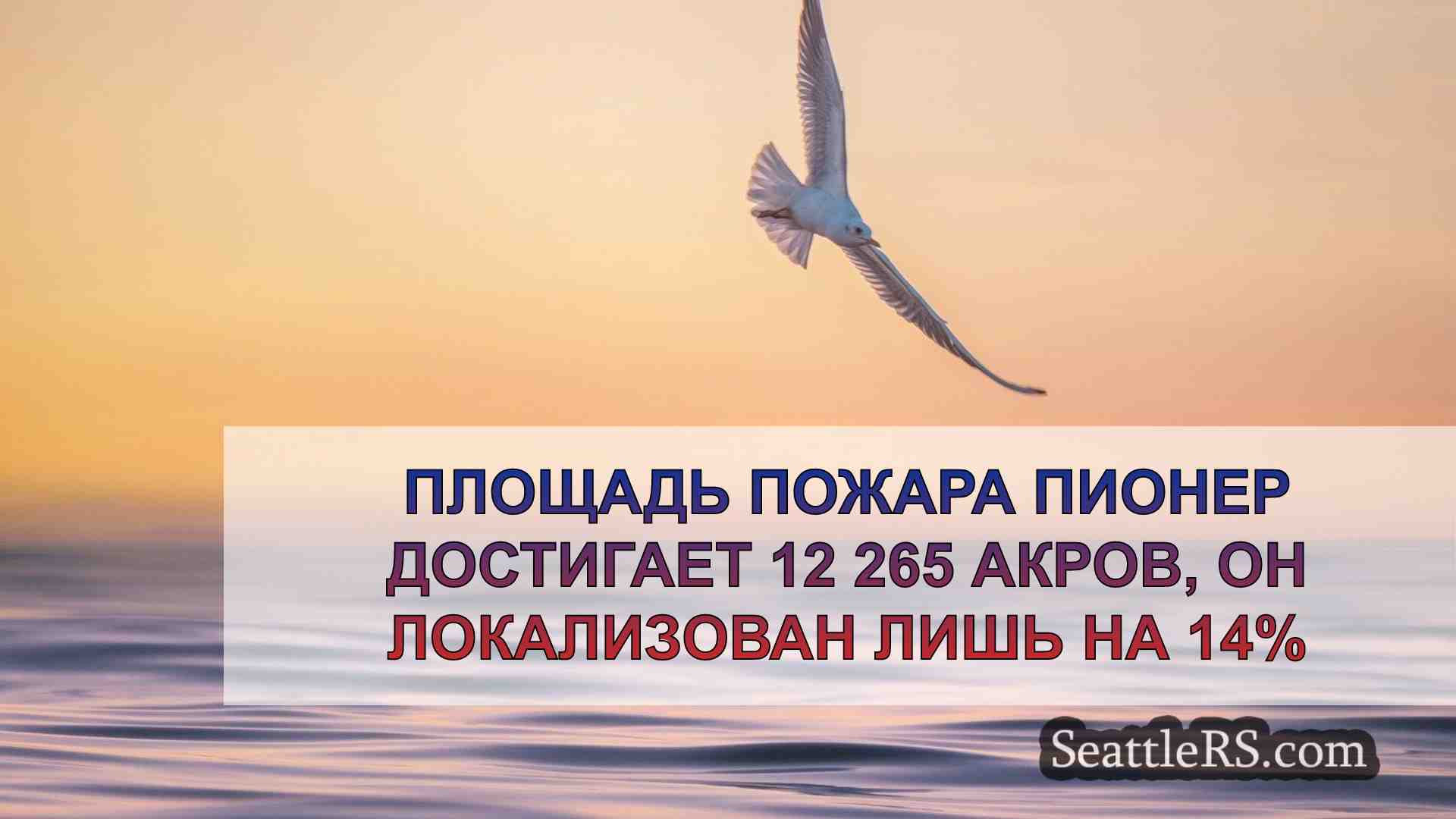 Площадь пожара Пионер достигает 12 265