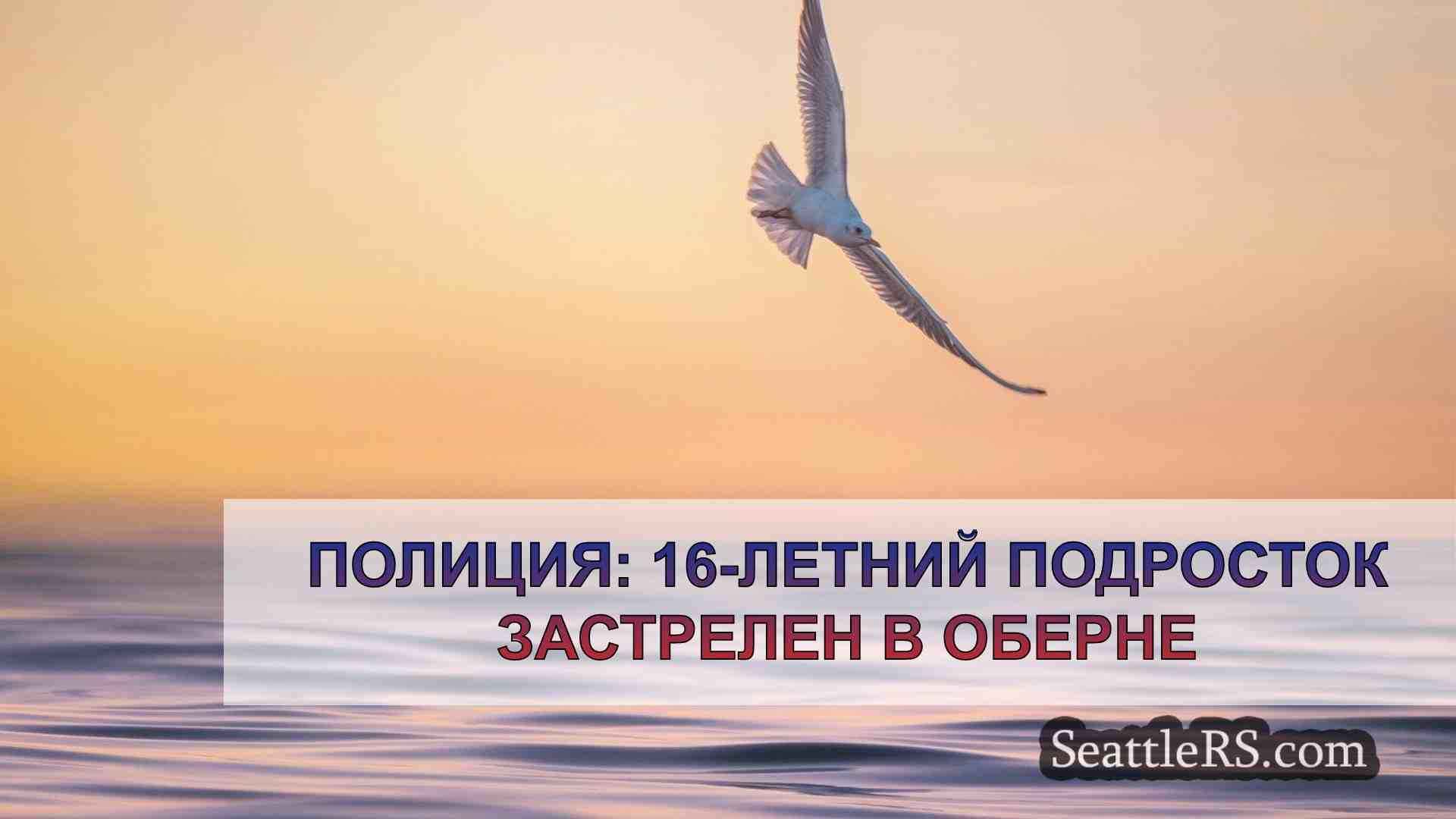Новости Сиэтла SeattleRS