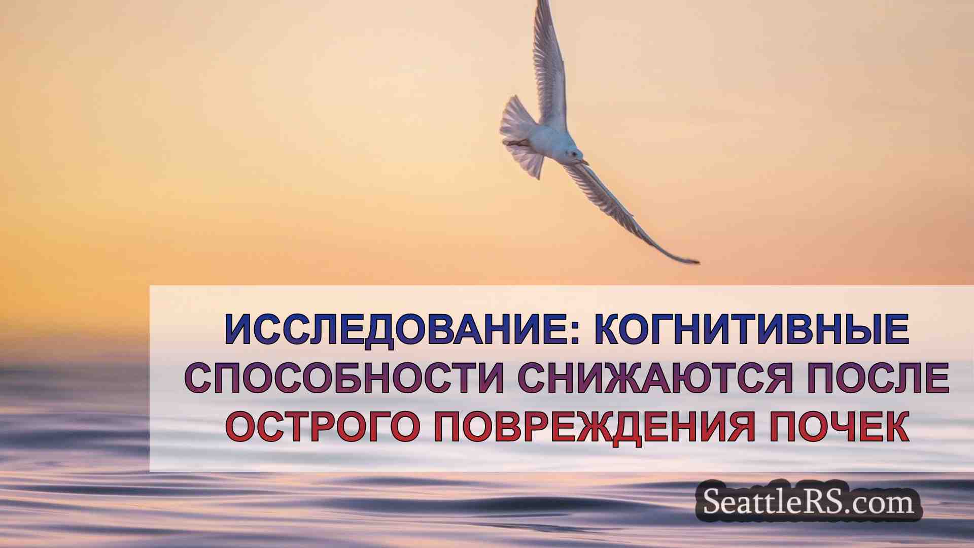 Новости Сиэтла SeattleRS