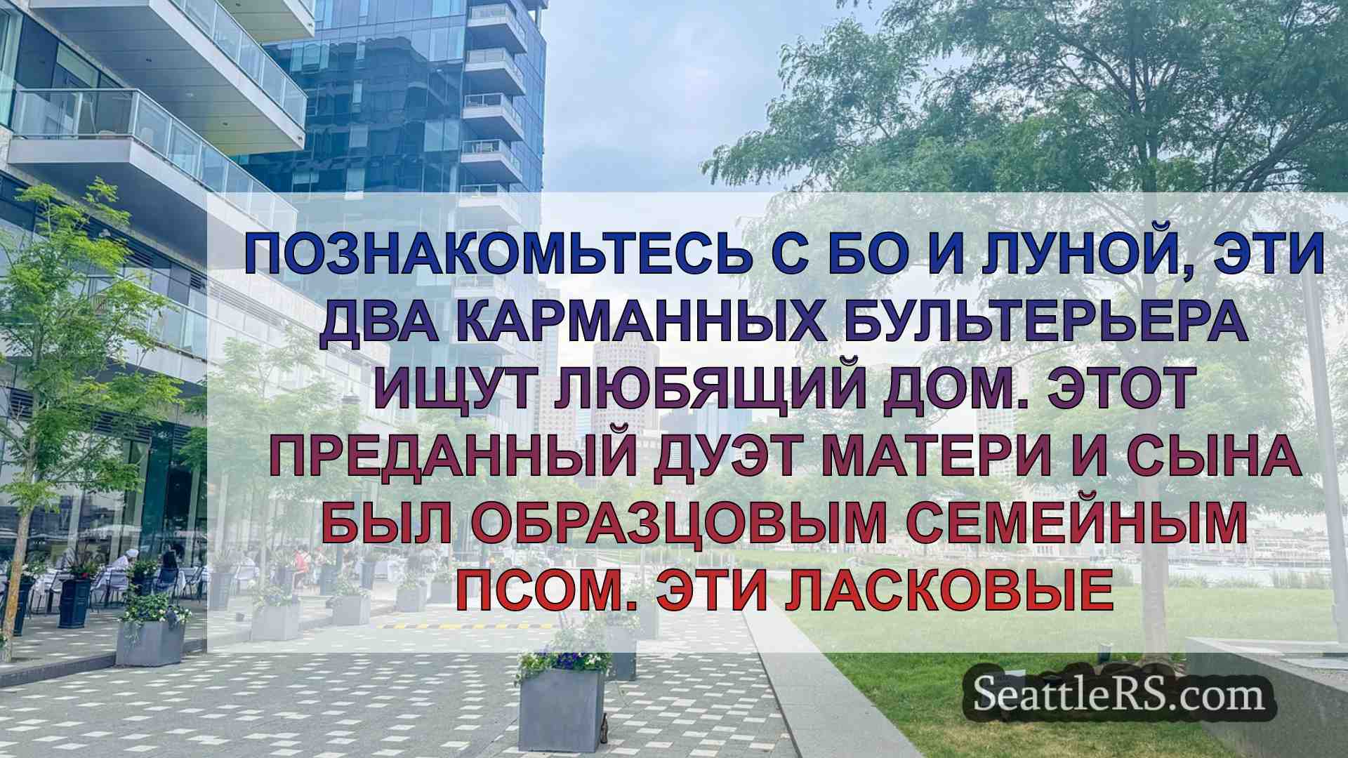 Новости Сиэтла SeattleRS
